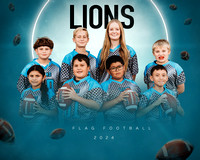 ULTIMATE LIONS