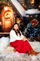 Gracie christmas mini session