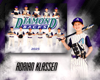 minor diamondbacks proof only
