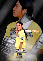 12 14 lady ducks proof only