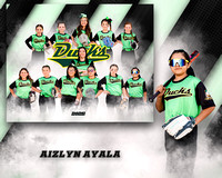 10 u lady ducks proofing
